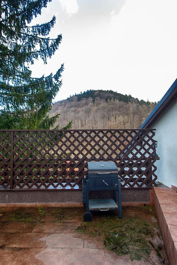 Vila Imperial Bed & Breakfast Sinaia Bagian luar foto
